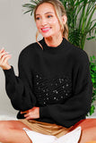 Hearted Embroidered Sequin Detail Knitted Sweater